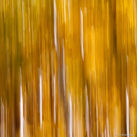 _MG_0227