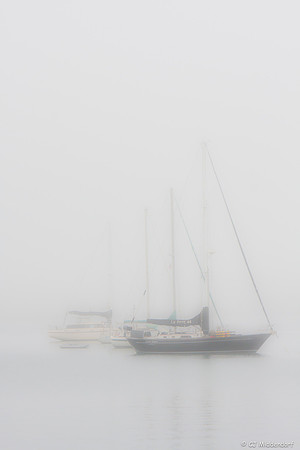 _MG_0920