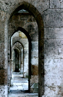 Regansburg Arches