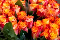 Amsterdam Flower Market