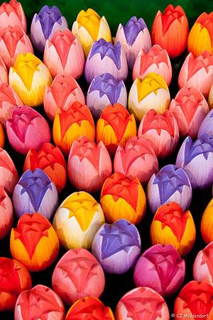 Wooden Tulips
